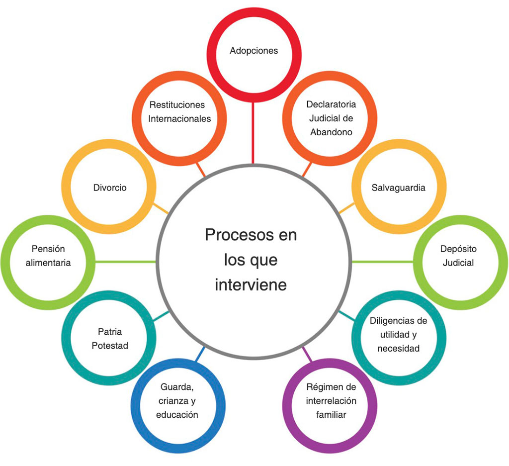 Infografía sobre los procesos en los que interviene el Departamento de Trabajo Social y Psicología