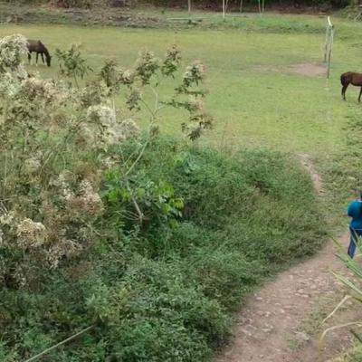 Dos mujeres caminan por el campo, a lo largo se muestra un carro blanco y un caballo color café