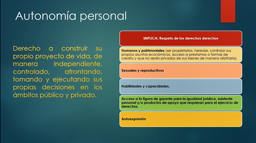 Enlace al Video Conceptos Claves Acerca de la Discapacidad